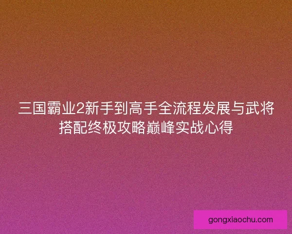 三国霸业2新手到高手全流程发展与武将搭配终极攻略巅峰实战心得