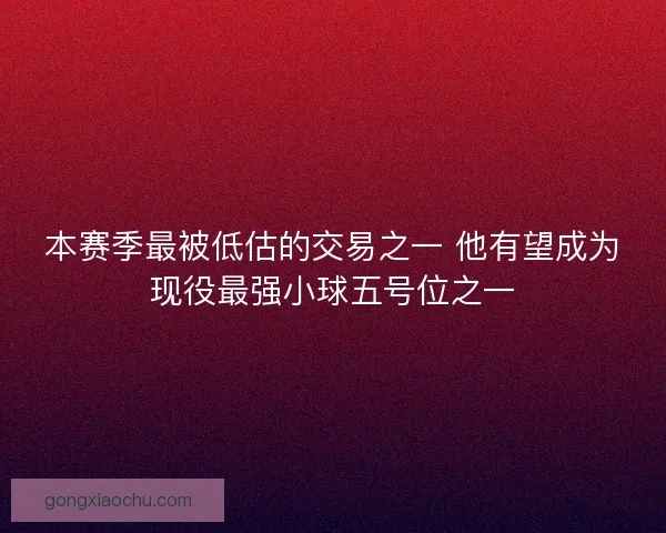 本赛季最被低估的交易之一 他有望成为现役最强小球五号位之一