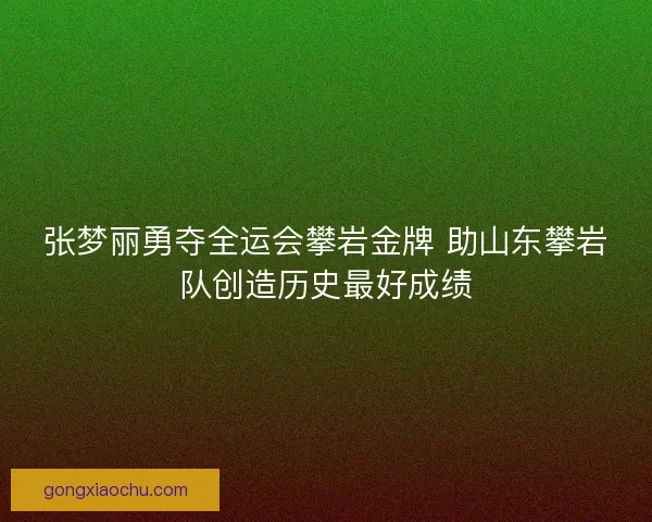 张梦丽勇夺全运会攀岩金牌 助山东攀岩队创造历史最好成绩