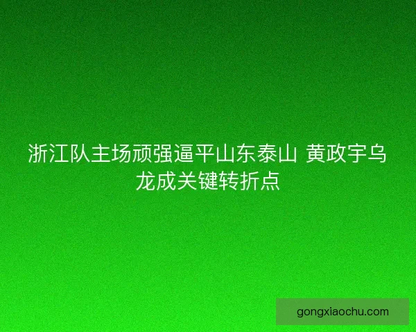 浙江队主场顽强逼平山东泰山 黄政宇乌龙成关键转折点