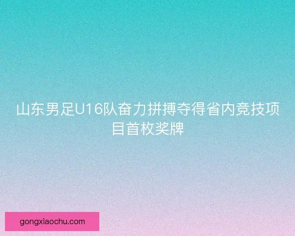 山东男足U16队奋力拼搏夺得省内竞技项目首枚奖牌