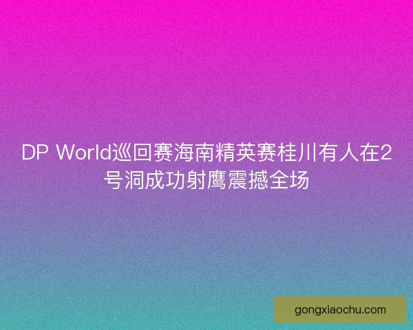 DP World巡回赛海南精英赛桂川有人在2号洞成功射鹰震撼全场